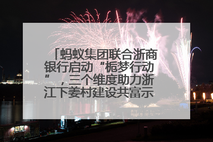 蚂蚁集团联合浙商银行启动“栀梦行动”，三个维度助力浙江下姜村建设共富示范区示范点