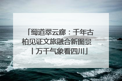 蜀道翠云廊：千年古柏见证文旅融合新图景丨万千气象看四川
