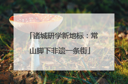 诸城研学新地标：常山脚下非遗一条街