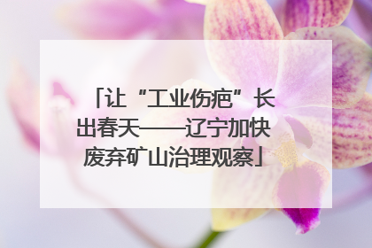 让“工业伤疤”长出春天——辽宁加快废弃矿山治理观察