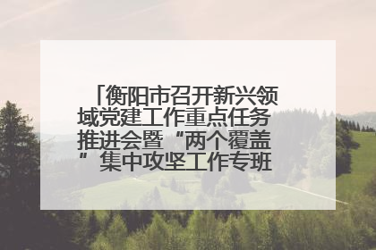 衡阳市召开新兴领域党建工作重点任务推进会暨“两个覆盖”集中攻坚工作专班 第一次会议
