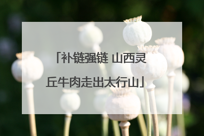 补链强链 山西灵丘牛肉走出太行山