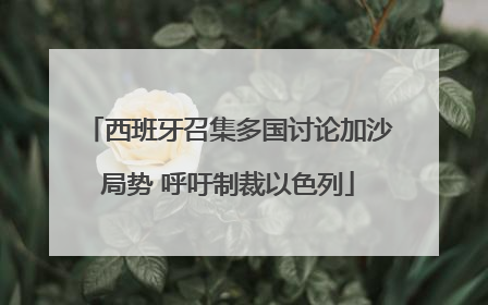 西班牙召集多国讨论加沙局势 呼吁制裁以色列