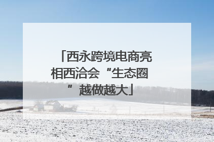 西永跨境电商亮相西洽会“生态圈”越做越大