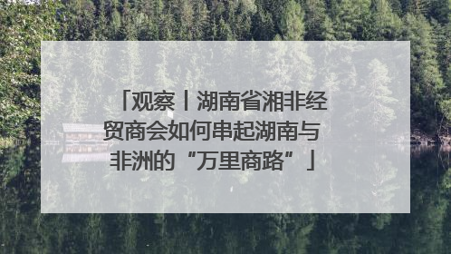 观察丨湖南省湘非经贸商会如何串起湖南与非洲的“万里商路”