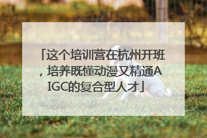 这个培训营在杭州开班，培养既懂动漫又精通AIGC的复合型人才