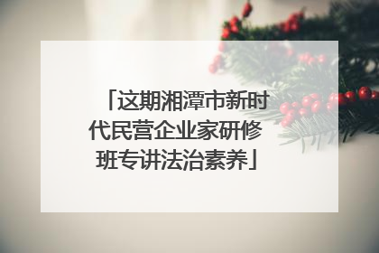 这期湘潭市新时代民营企业家研修班专讲法治素养