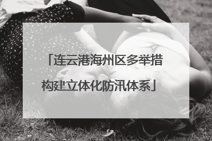 连云港海州区多举措构建立体化防汛体系