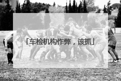 车检机构作弊，该抓