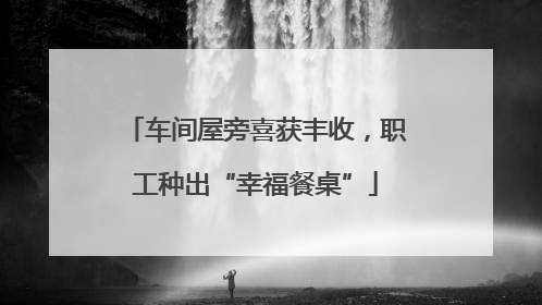 车间屋旁喜获丰收，职工种出“幸福餐桌”