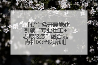 辽宁省开展党建引领“专业社工+志愿服务”融合试点社区建设培训