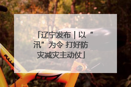 辽宁发布｜以“汛”为令 打好防灾减灾主动仗