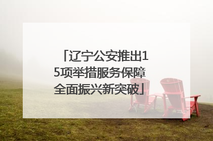 辽宁公安推出15项举措服务保障全面振兴新突破