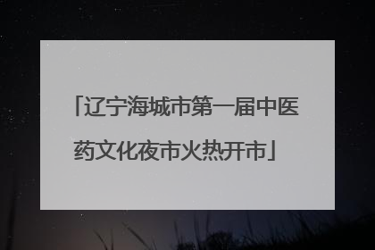 辽宁海城市第一届中医药文化夜市火热开市