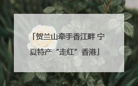 贺兰山牵手香江畔 宁夏特产“走红”香港