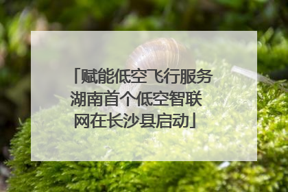 赋能低空飞行服务 湖南首个低空智联网在长沙县启动