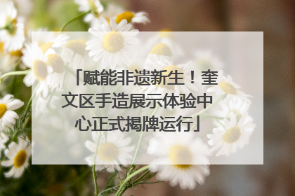 赋能非遗新生！奎文区手造展示体验中心正式揭牌运行