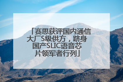 赛思获评国内通信大厂S级供方，跻身国产SLIC语音芯片领军者行列