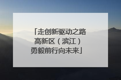 走创新驱动之路 高新区（滨江）勇毅前行向未来