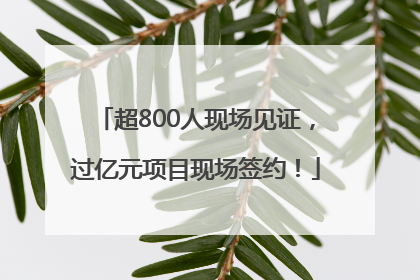 超800人现场见证，过亿元项目现场签约！