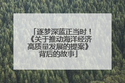 逐梦深蓝正当时！《关于推动海洋经济高质量发展的提案》背后的故事