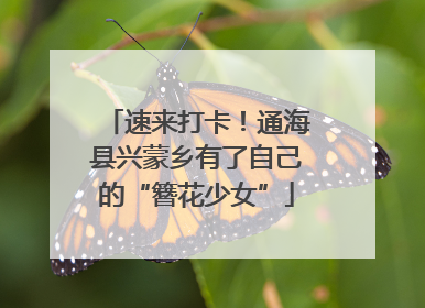 速来打卡！通海县兴蒙乡有了自己的“簪花少女”