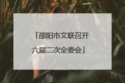 邵阳市文联召开六届二次全委会