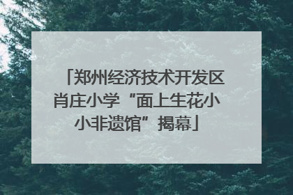 郑州经济技术开发区肖庄小学“面上生花小小非遗馆”揭幕