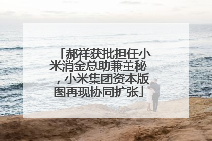 郝祥获批担任小米消金总助兼董秘，小米集团资本版图再现协同扩张