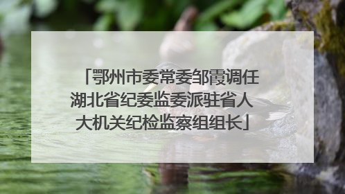 鄂州市委常委邹霞调任湖北省纪委监委派驻省人大机关纪检监察组组长