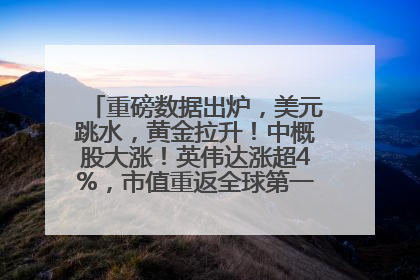 重磅数据出炉，美元跳水，黄金拉升！中概股大涨！英伟达涨超4%，市值重返全球第一！黄仁勋计划出售至多600万股股票