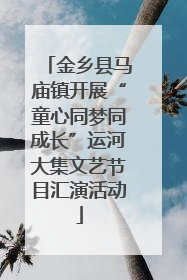 金乡县马庙镇开展“童心同梦同成长”运河大集文艺节目汇演活动