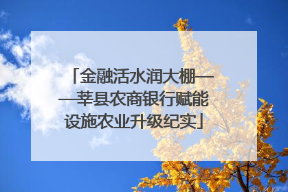 金融活水润大棚——莘县农商银行赋能设施农业升级纪实