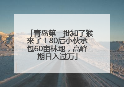 青岛第一批知了猴来了！80后小伙承包60亩林地，高峰期日入过万
