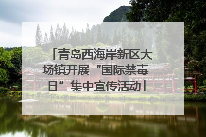 青岛西海岸新区大场镇开展“国际禁毒日”集中宣传活动