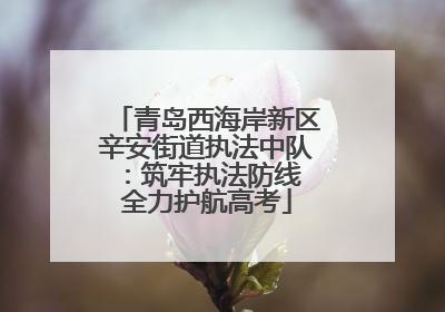 青岛西海岸新区辛安街道执法中队：筑牢执法防线 全力护航高考