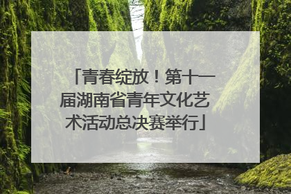 青春绽放！第十一届湖南省青年文化艺术活动总决赛举行