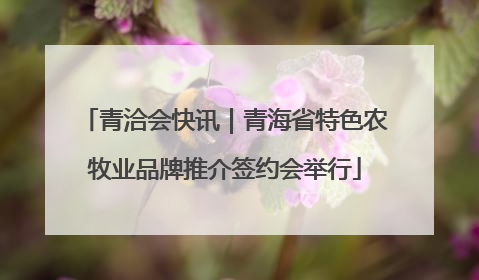 青洽会快讯｜青海省特色农牧业品牌推介签约会举行