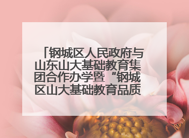 钢城区人民政府与山东山大基础教育集团合作办学暨“钢城区山大基础教育品质提升联盟”签约揭牌活动举行