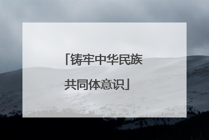 铸牢中华民族共同体意识