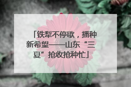 铁犁不停歇，播种新希望——山东“三夏”抢收抢种忙