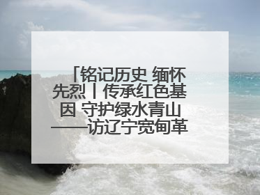 铭记历史 缅怀先烈丨传承红色基因 守护绿水青山——访辽宁宽甸革命老区