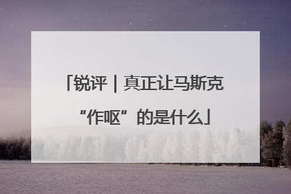 锐评｜真正让马斯克“作呕”的是什么