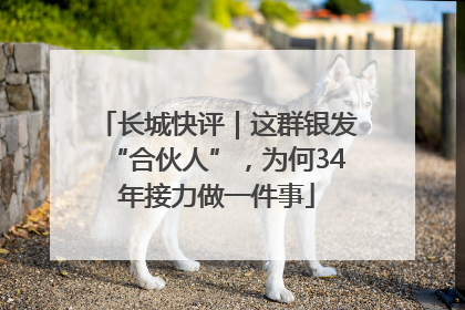 长城快评｜这群银发“合伙人”，为何34年接力做一件事