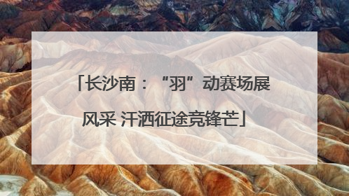长沙南：“羽”动赛场展风采 汗洒征途竞锋芒