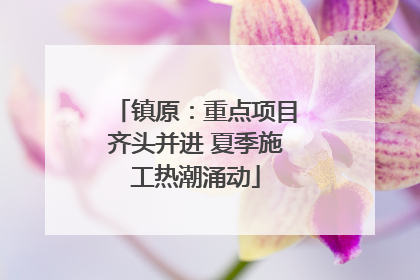 镇原：重点项目齐头并进 夏季施工热潮涌动