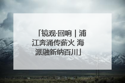 镜观·回响｜浦江奔涌传薪火 海派融新纳百川