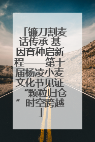 镰刀割麦话传承 基因育种启新程——第十届杨凌小麦文化节见证“颗粒归仓”时空跨越