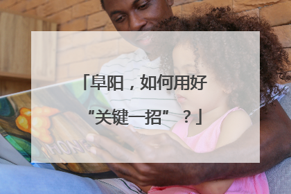 阜阳，如何用好“关键一招”？