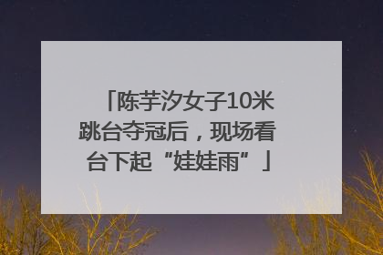 陈芋汐女子10米跳台夺冠后，现场看台下起“娃娃雨”